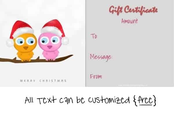 christmas gift certificate template with two cute owls on a branch